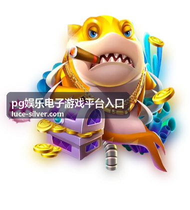 pg娱乐电子游戏平台入口完整访问流程示意图